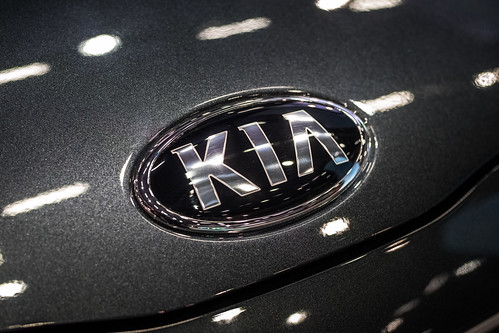 Shiny Kia Logo on Kia Key Fob Case