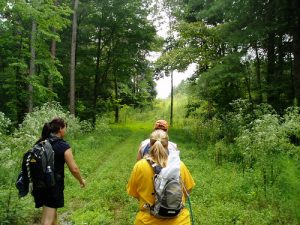 Top Hiking Locations in Red Wing, MN - Spring 2022